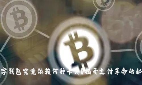 数字钱包究竟依赖何种卡片？揭开支付革命的秘密