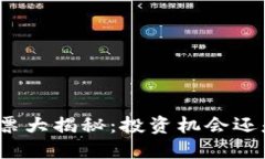 数字钱包股票大揭秘：投资机会还是风险挑战？