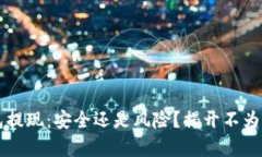 区块链钱包提现：安全还是风险？揭开不为人知