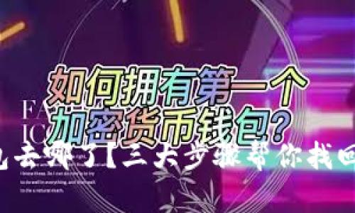 你的TP钱包去哪了？三大步骤帮你找回丢失资产！