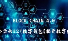 如何选择最适合你的827数字钱包？揭开数字财富
