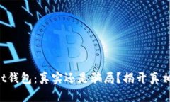 TPWallet钱包：真实还是骗局？揭开真相的面纱！