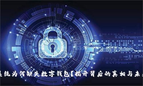 社保系统为何缺失数字钱包？揭开背后的真相与未来挑战