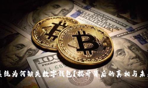 社保系统为何缺失数字钱包？揭开背后的真相与未来挑战