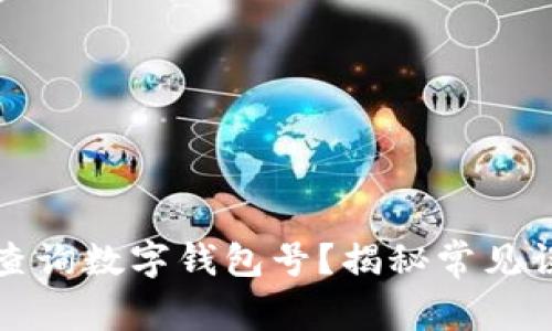 如何快速轻松查询数字钱包号?揭秘常见误区与解决方案