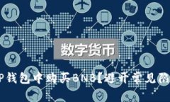 如何轻松在TP钱包中购买BNB？避开常见陷阱，掌握