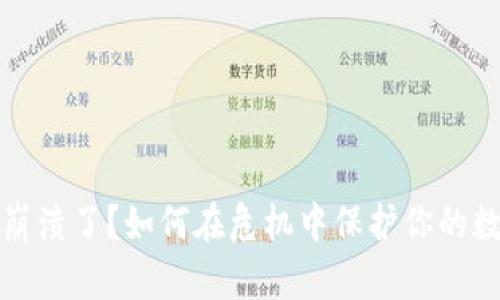 TP钱包崩溃了？如何在危机中保护你的数字资产