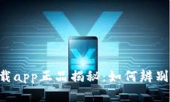 TP钱包官网下载app正品揭秘：如何辨别真伪，避免