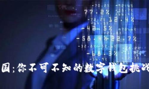 解锁泰国:你不可不知的数字钱包挑战与推荐