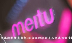 主流数字货币钱包：如何选择适合自己的最佳方