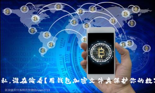 “你的隐私，谁在偷看？用钱包加密文件夹保护你的数字资产！”