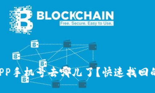 你的TP钱包APP手机号去哪儿了?快速找回的方法大揭秘!