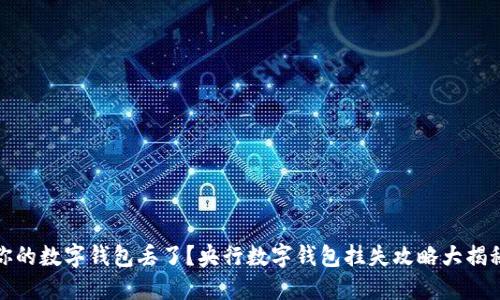 你的数字钱包丢了？央行数字钱包挂失攻略大揭秘