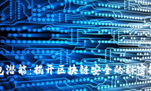 释放数字钱包潜能:揭开区块链安全的秘密挑战传统金融