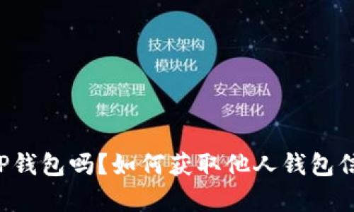 你真的了解TP钱包吗?如何获取他人钱包信息才是关键!