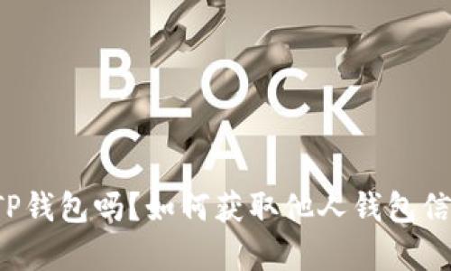 你真的了解TP钱包吗?如何获取他人钱包信息才是关键!