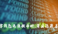 当你的数字钱包无法提币时，背后隐藏着什么真