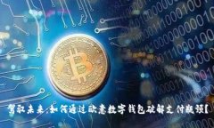 驾驭未来：如何通过欧意数字钱包破解支付瓶颈