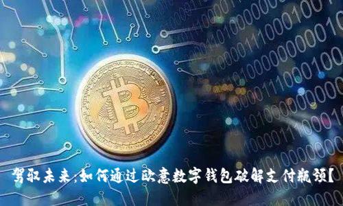 驾驭未来:如何通过欧意数字钱包破解支付瓶颈?