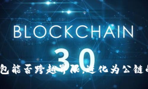 数字钱包能否跨越界限，进化为公链的未来？