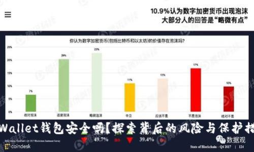 TPWallet钱包安全吗？探索背后的风险与保护措施