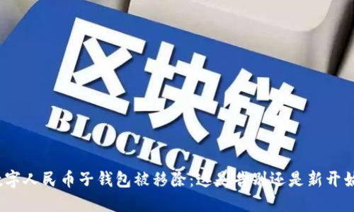 数字人民币子钱包被移除：这是告别还是新开始？