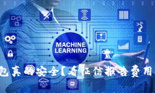 你的数字钱包真的安全?看征信报告费用的潜在隐患!