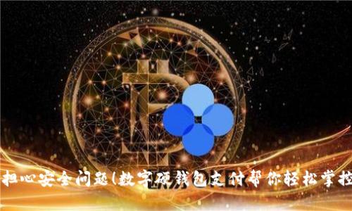 别再担心安全问题!数字硬钱包支付帮你轻松掌控资产