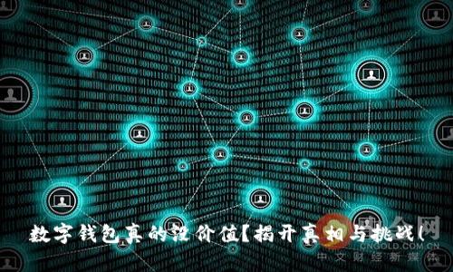 数字钱包真的没价值?揭开真相与挑战!