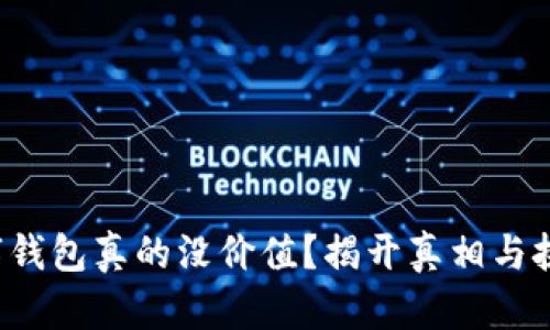 数字钱包真的没价值?揭开真相与挑战!