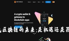 钱包区块链的未来：是机遇还是陷阱？