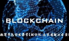 数字钱包突发异常？别惊慌，这里有解决方案！