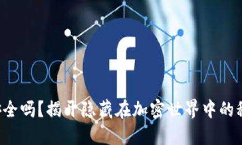 TP钱包安全吗?揭开隐藏在加密世界中的秘密挑战!