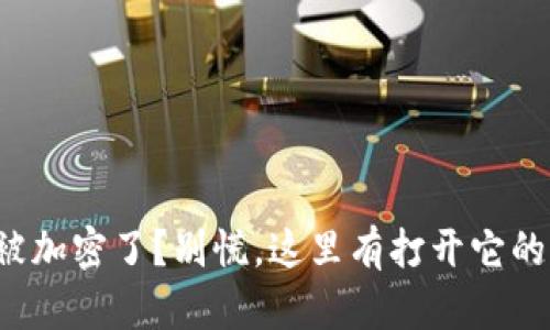 你的钱包被加密了?别慌,这里有打开它的绝佳方法!