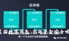 美国数字钱包：你的资金安全吗？