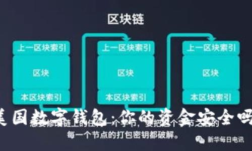 美国数字钱包:你的资金安全吗?