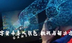 数字货币导入钱包：挑战与解决方案