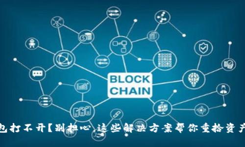 TP钱包打不开？别担心，这些解决方案帮你重拾资产安全