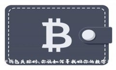 当TP钱包失踪时，你该如何寻找回你的数字资产？