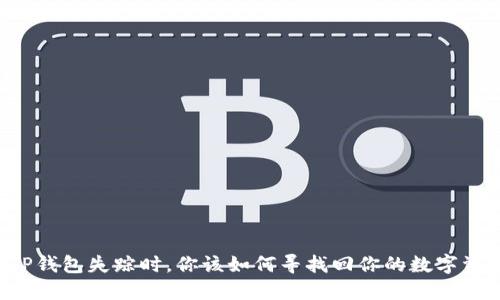 当TP钱包失踪时，你该如何寻找回你的数字资产？