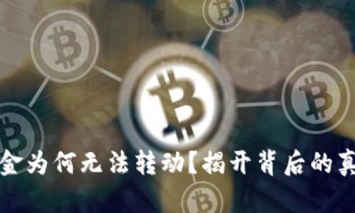 TP钱包里的资金为何无法转动？揭开背后的真相与解决方案