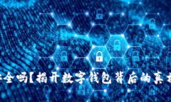 pt钱包安全吗？揭开数字钱包背后的真相与隐患！