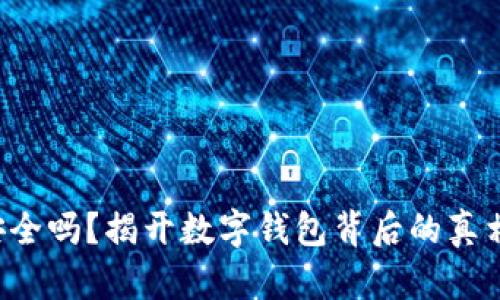 pt钱包安全吗?揭开数字钱包背后的真相与隐患!