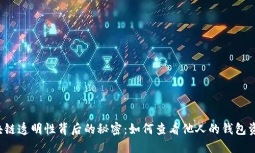 区块链透明性背后的秘密：如何查看他人的钱包资产？