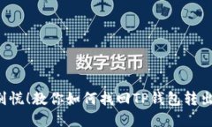 意外转币？别慌！教你如何找回TP钱包转出的丢失